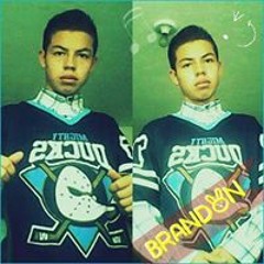Brandon Solo Comandos
