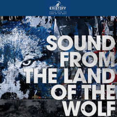 Pietro Secchi - Midnight Sun (from Sound From The Land Of The Wolf)