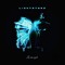 lightstars_