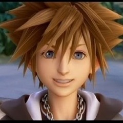 sora roxas 2