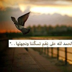 الشيخ محمد سعيد رسلان