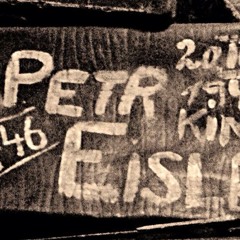 La Valigia di Petr Eisler