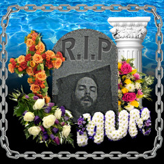 scotchtaargustaargus