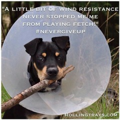 sonofelmerthundercloud