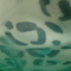 chinese
