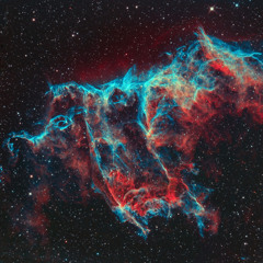 aryoobimo