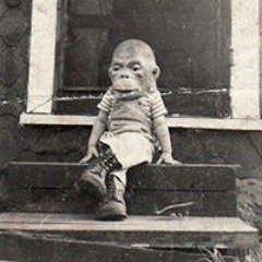 Raúl Hernández 267