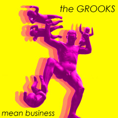 THE GROOKS