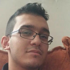 Mohammad Amin Roshan Pour