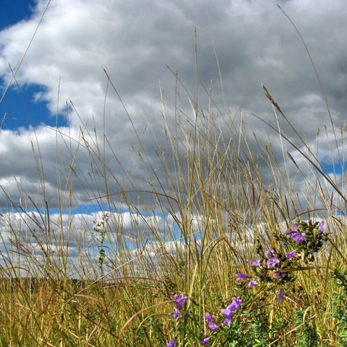 1998 Прибежище (БГ и Gabrielle Roth) 01. Refuge