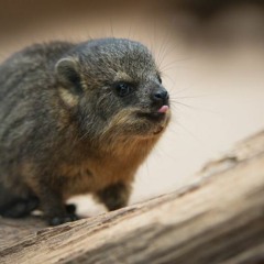 02 Love's Got Me High (TP's Classic Unreleased Extended Mix)