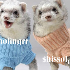 lisishisi