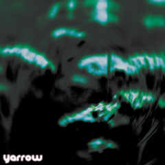 Yarrow