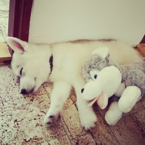 Pretty Rhythm Dear My Future OP2