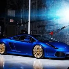 Bera Beşir Yarıkan