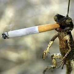 Sen Dogg