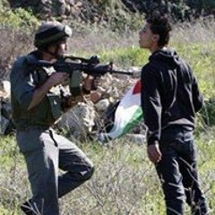 chab hasni