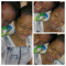 Kiyah!!!