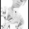 Yasser Ceras Robles