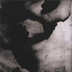 SebastianRauchtPlanz