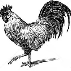 GALLO REC.