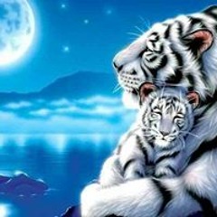 Tabrinne Monia Brown