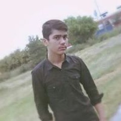 Syed Hassan Raza 15