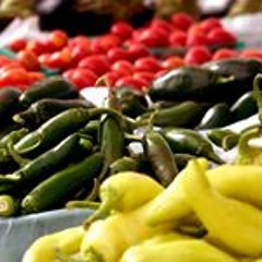 AaMartijn-a van Linden