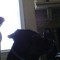 krishaun_taz