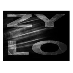 Zylo UK