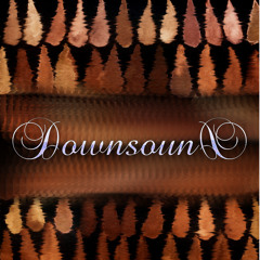 ►DownsounD◄