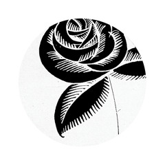 Mystic Roses