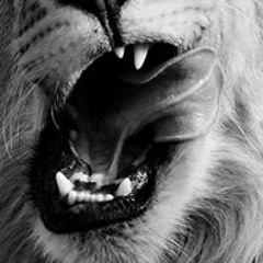 Erica Menefee Barbour