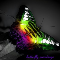 butterfly recordings