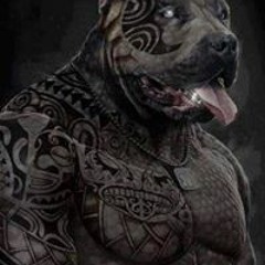 Vasil Borislavov Kortezov