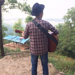 Luca Stricagnoli - The Last Of The Mohicans (Acoustic Guitar)