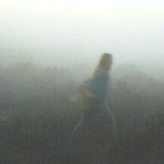POLLY_ANN