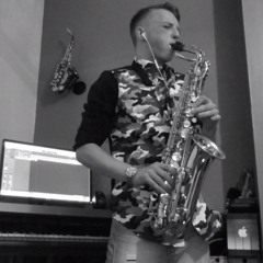 Stay The Night - Zedd ft. Hayley Williams Alto Saxophone Cover