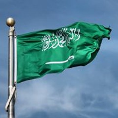Shahinaz Abdulaziz