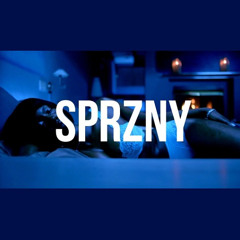 SPRZNY.CO