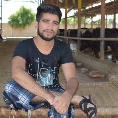 Muhammad Aamir Saleem