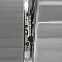 Alexander Lee Williams