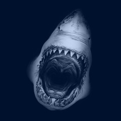 M.o.B.Shark