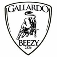 GallardoBeezy