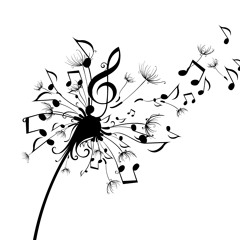 Nine Lives Collective