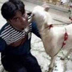 user336730452