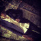 $Arabian.Muzik.Revolt$ <3