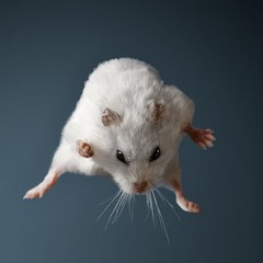 190416 (G)I - DLE's Minnie - My Happy Little Pill Cover @ Radio 360p