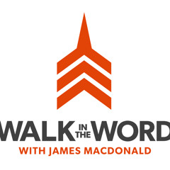 Walk In The Word