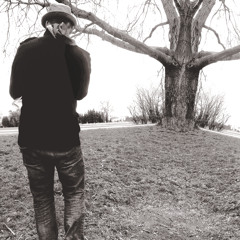 martin von siebenthal